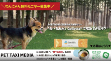 ジュレッタキャンペーン