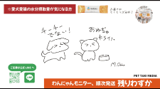 キャンペーン残りわずか